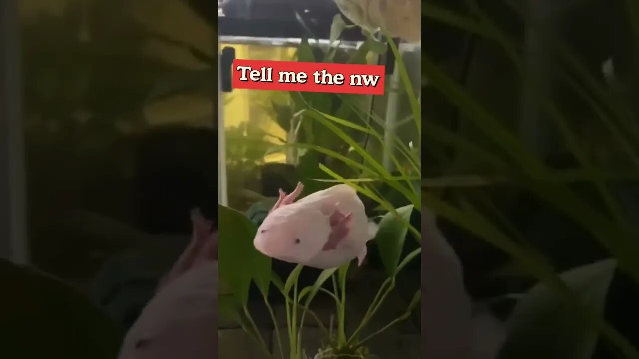 Tell me the name