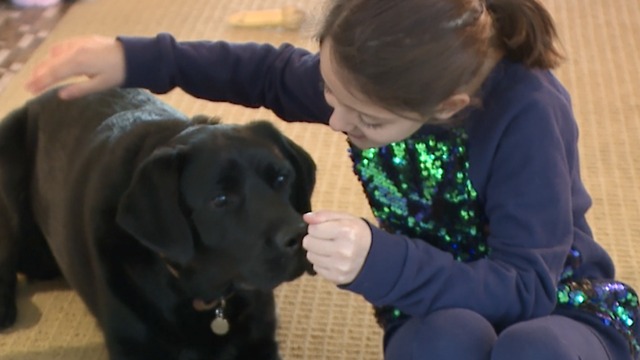 Fourth-grader takes her love of dogs to the statehouse to make Labrador Retriever the state dog