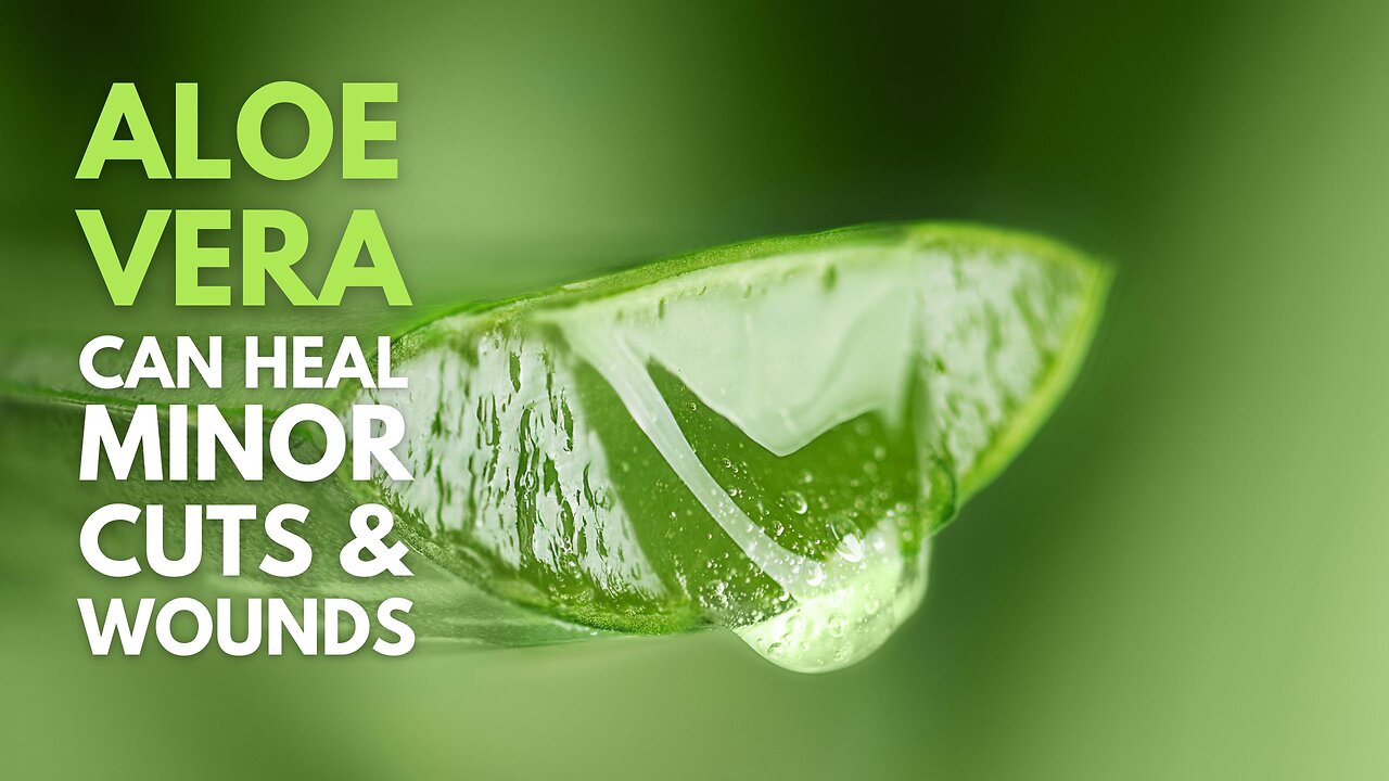 Aloe vera Can Heal Minor Cuts and Wounds