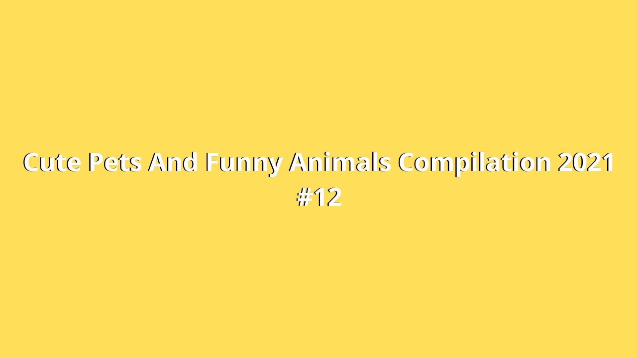 Cute Pets And Funny Animals Compilation 2021 #12