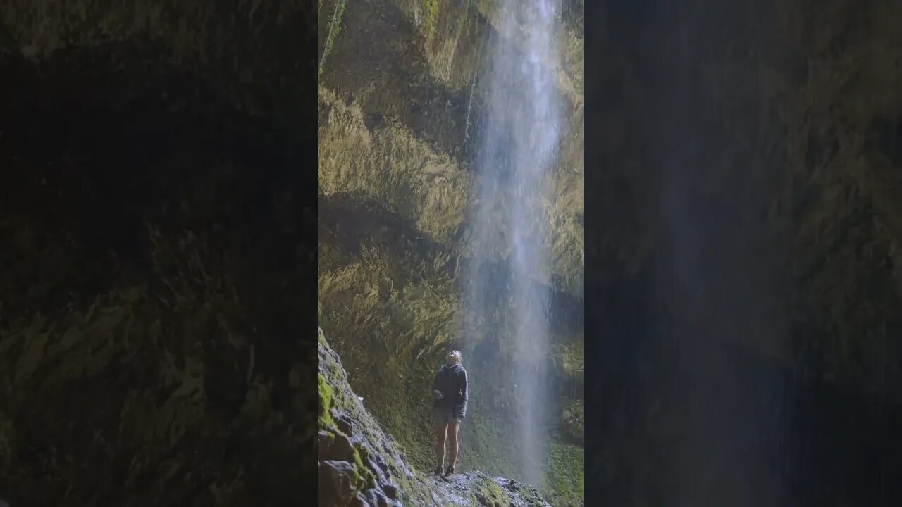 Nature will provide healing. #shorts #outdoors #nature