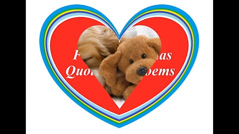 Nosso amor e carinho um pelo outro, nossa amizade [Frases e Poemas]