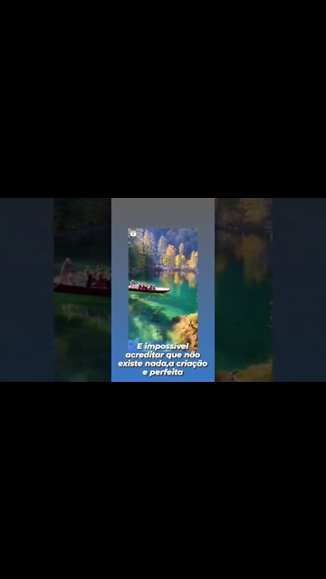 14 de novembro de 2022