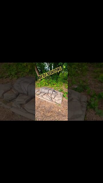 Beetle Sculpture 🪲 #nature #naturelovers #woodworking #woodcarving #woodsculpture #woodwork #woods