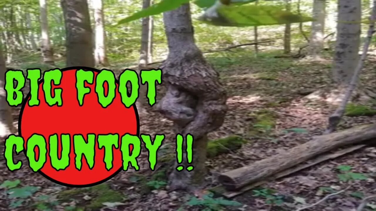 bigfoot