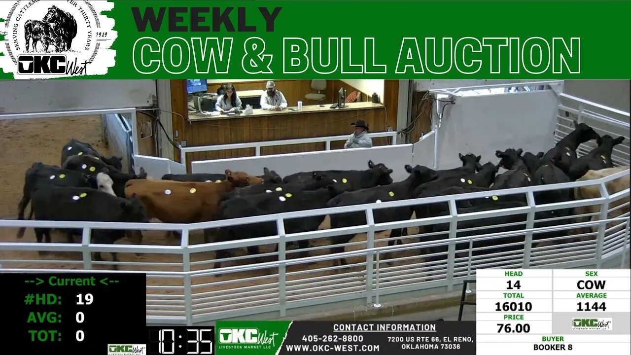 1/9/2023 - OKC West Weekly Cow & Bull Auction