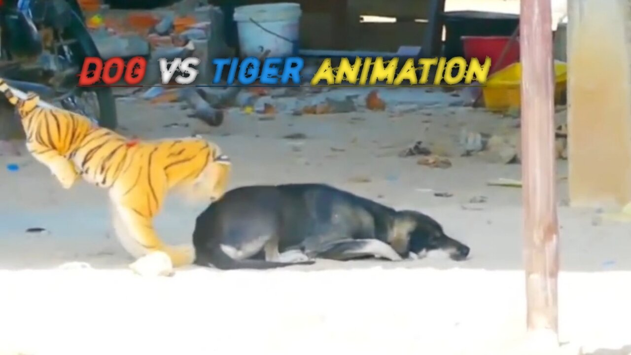 Dog vs tiger animation