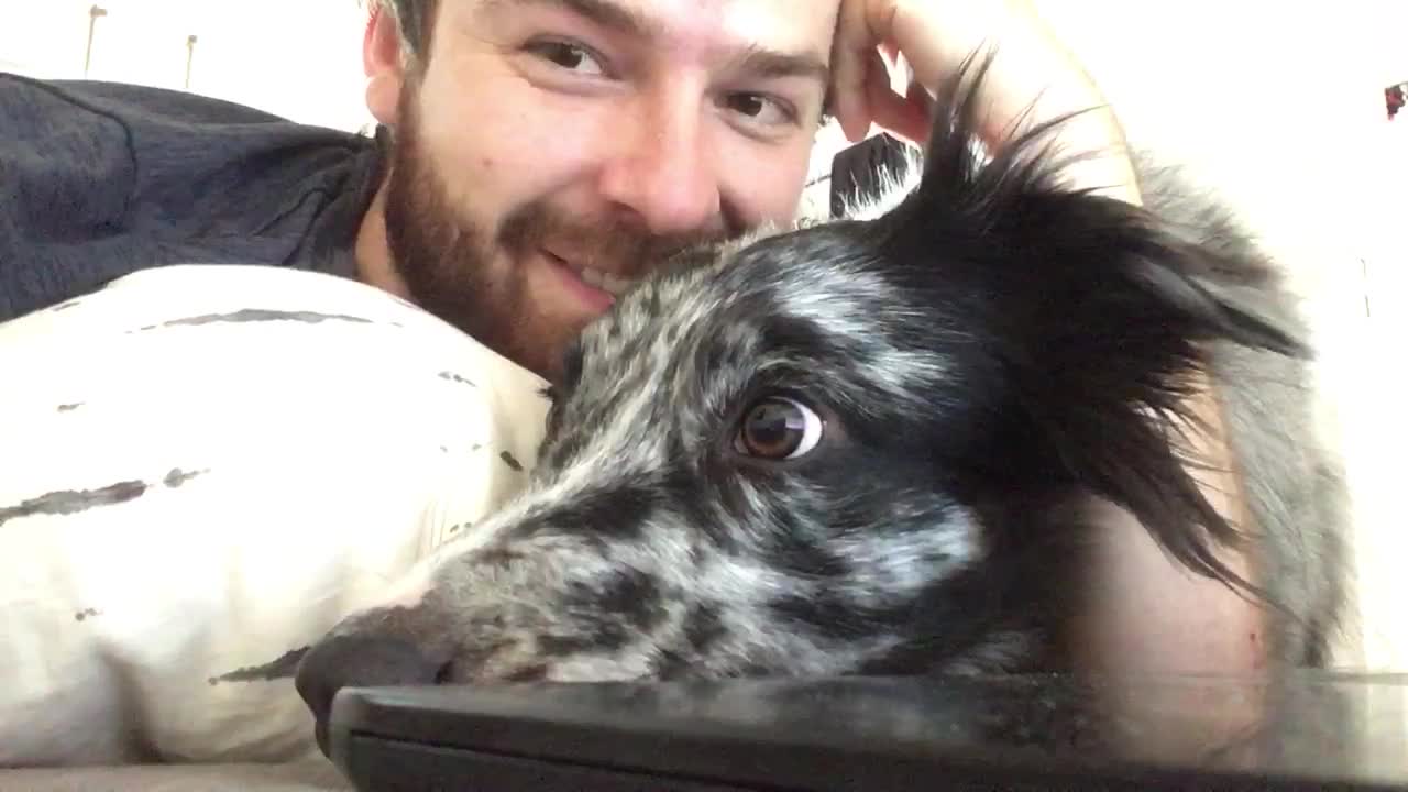 Goofy pup squeezes his head through owner's arm