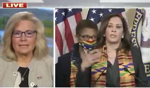WHAT A SHAME IT WOULD BE IF THIS VIDEO OF LIZ CHENEY EXPOSING KAMALA WENT VIRAL