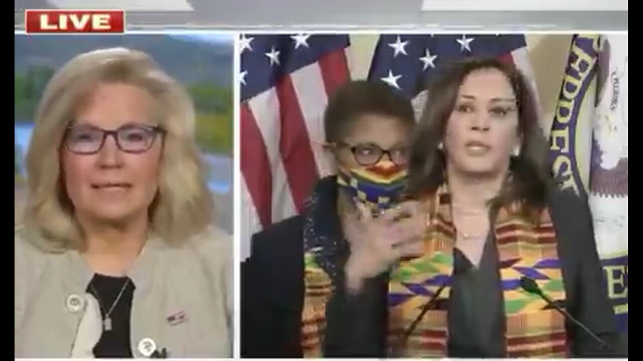 WHAT A SHAME IT WOULD BE IF THIS VIDEO OF LIZ CHENEY EXPOSING KAMALA WENT VIRAL