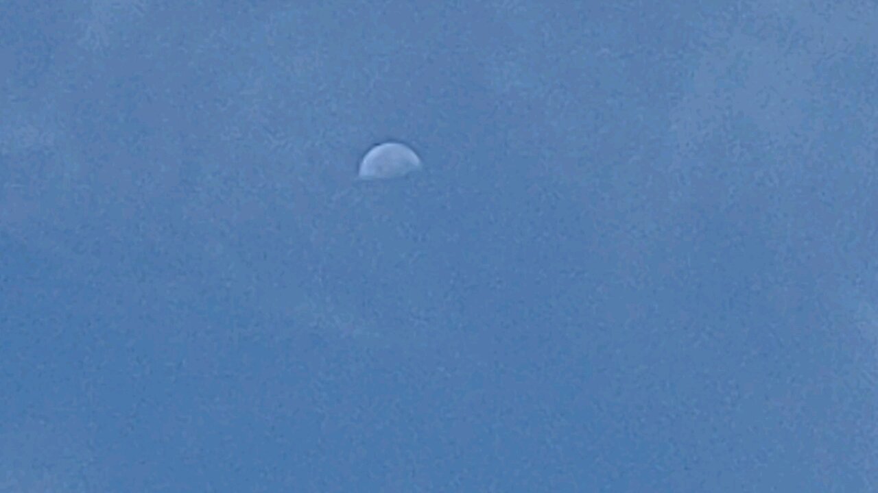 Daytime Moon 7/27/24 9:52