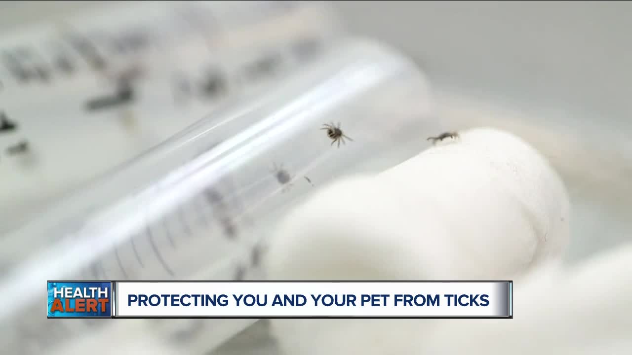 Health officials warn people to watch for ticks this summer