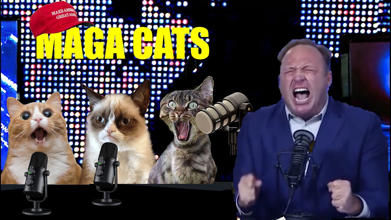 MAGA CATS FIGHT THE CULTURE WAR