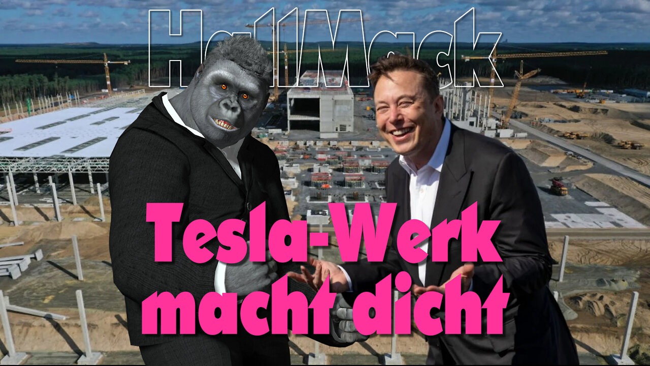 Tesla-Werk macht dicht