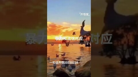 一句话开悟20220228