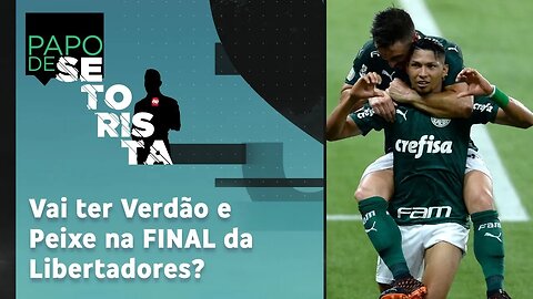 Palmeiras ou Santos? Quem tem MAIS CHANCE de ir à FINAL da Libertadores? | PAPO DE SETORISTA (04/01)