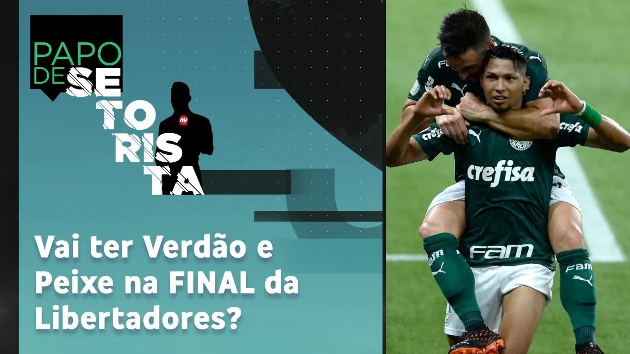 Palmeiras ou Santos? Quem tem MAIS CHANCE de ir à FINAL da Libertadores? | PAPO DE SETORISTA (04/01)