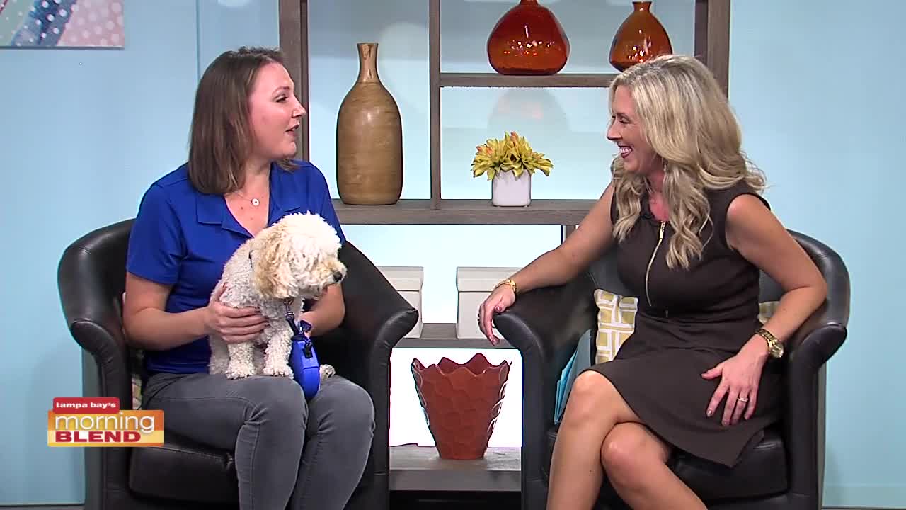 Hiking Spree | Morning Blend