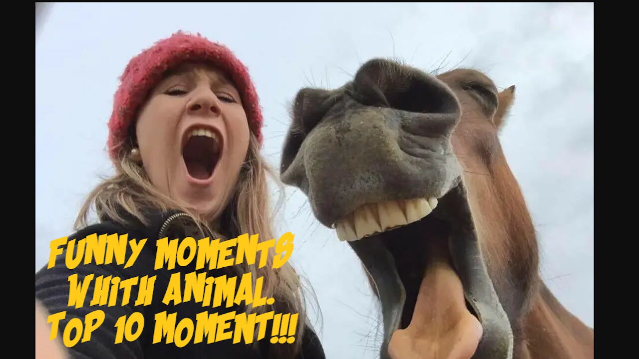 Funny moments whith animal.TOP 10 MOMENT!!!