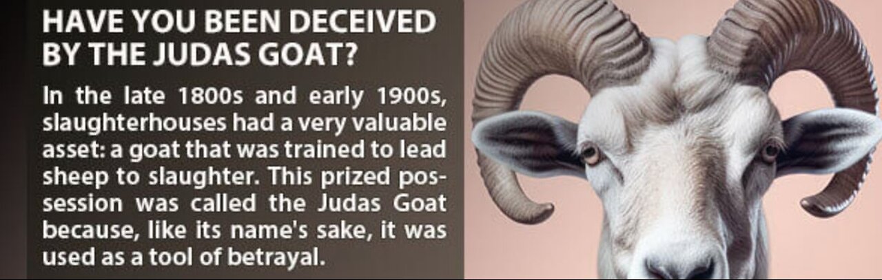 Judas Goats