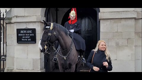 He gave her the silent treatment over touching the reins #horseguardsparade