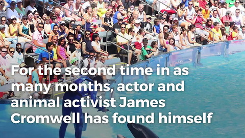 Oscar-Nominated Star Arrested For SeaWorld Protest