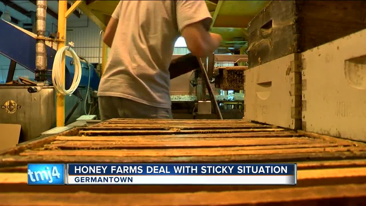 Wisconsin honey production hit by summer weather