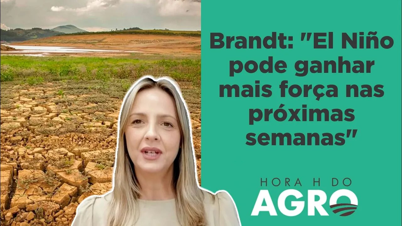 Pico do El Niño vai ocorrer neste fim de ano; clima pode ficar pior? | HORA H DO AGRO