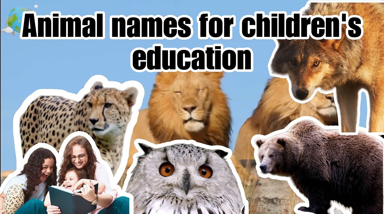 collection of animal names for children's education Part 2