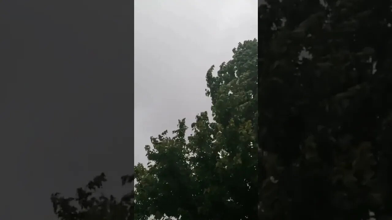 Nature and Chill #lightning