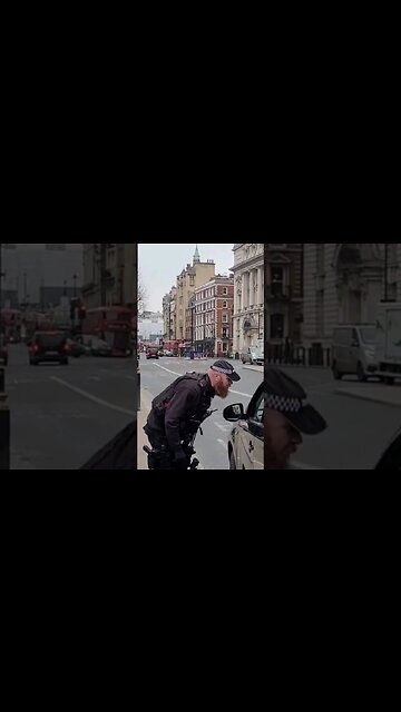 Police tell driver to pull over #horseguardsparade