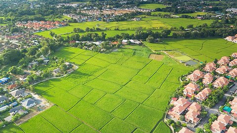 Inside the World of Land Developers