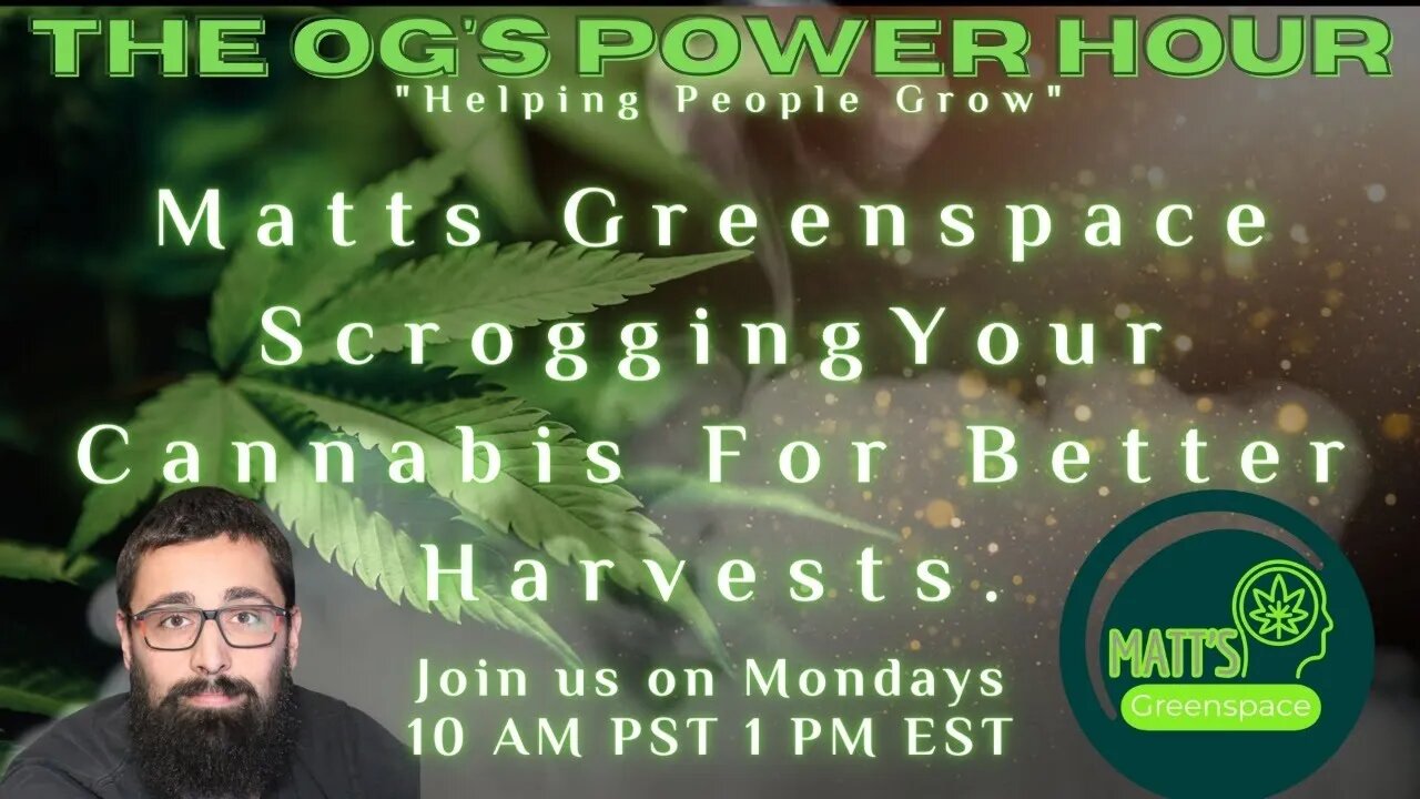 The OG's Power Hour: Matts Greenspace