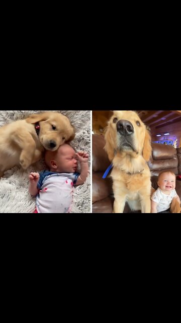 Baby & puppy share precious moments together