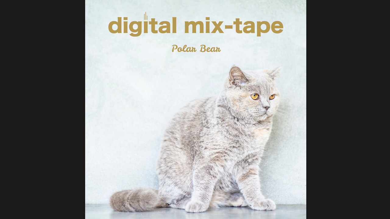 1 hour+ album polar bear classical calm music [digital mix-tape]