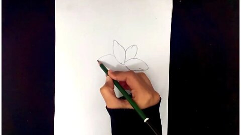 How To Draw Flowers Easy Step