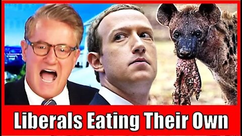 Morning Joe & Mika BLAMES FACEBOOK for CAPITOL RIOTS - Wants to SHUT THEM DOWN!