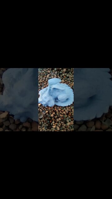 🤫 🐉 😴💤💤💤💤💤💤💤💤💤💤💤💤💤💤💤💤💤