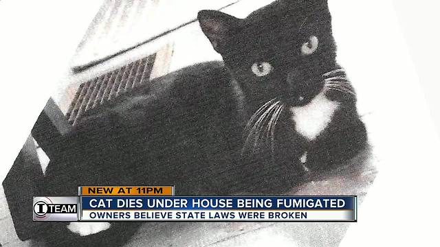 I-Team: Couple wants new rules for pest companies after cat killed under nearby home being fumigated | WFTS Investigative Report