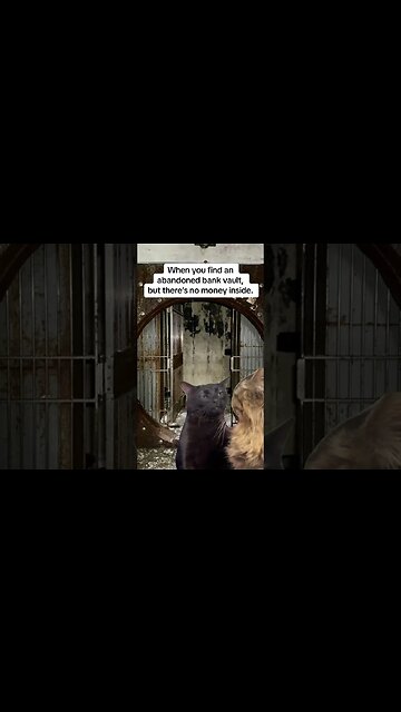 No money in an abandoned bank vault. #abandoned #funny #abandonedplaces #meme #comedy #urbex