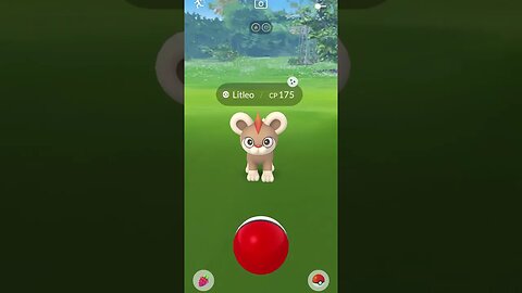 Shiny Compilation