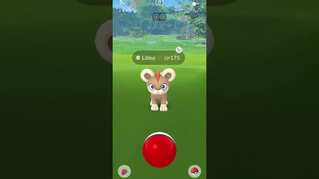 Shiny Compilation