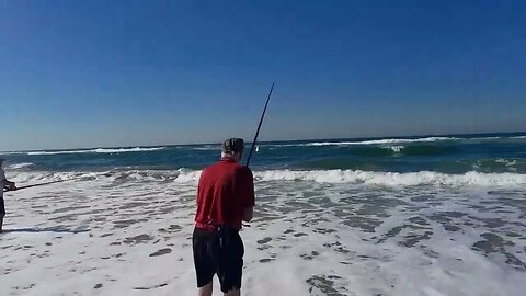 Fishing during the Sardine Run