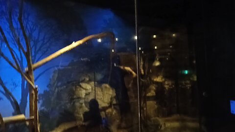 Here I saw a small turtle? in Ueno Park Zoo