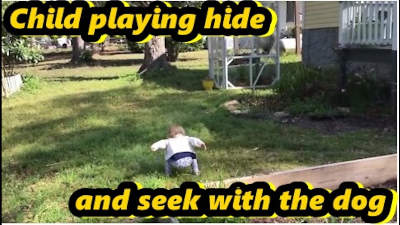 Child playing hide and seek with the dog