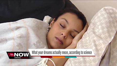 What your dreams actually mean, according to science