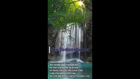 Daily Proclamation #2 Deuteronomy 31:6