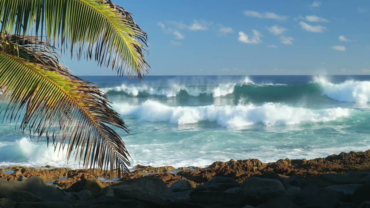 Beautiful waves in Puerto Rico