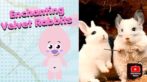 "Enchanting Velvet Rabbits: Moments of Grace and Adorableness in the Rabbit World!"