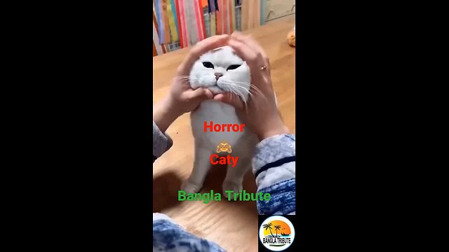 horror caty